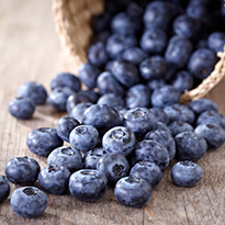 5 Perfect Post-Workout Foods | SSS Blog